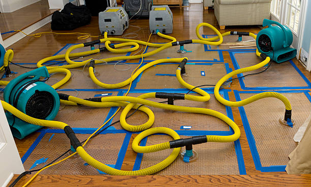 Professional Storm Water Damage Restoration technician working in Independence, MO
